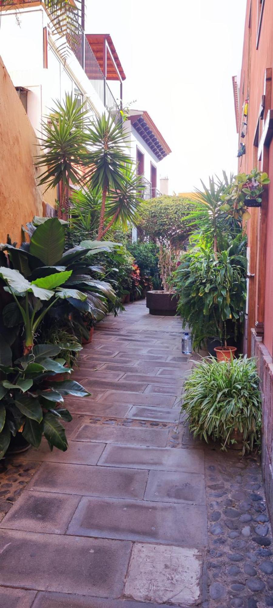 Apartament Teideplaya Puerto de la Cruz  Zewnętrze zdjęcie